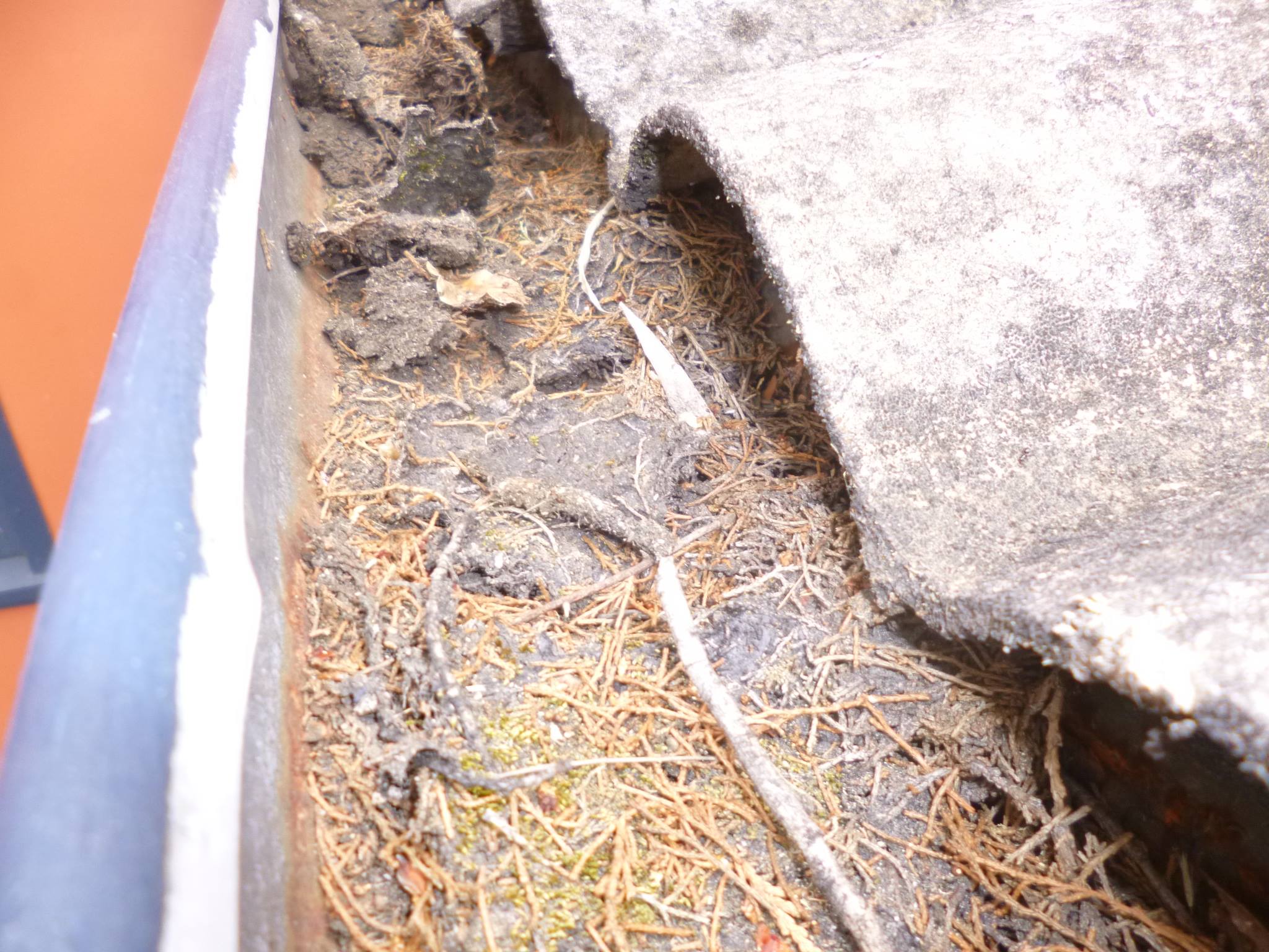 THE HIDDEN RISKS OF CLEANING GUTTERS ON ASBESTOS ROOFS
